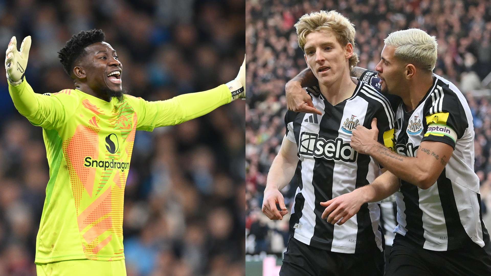 在本文中 在本文中